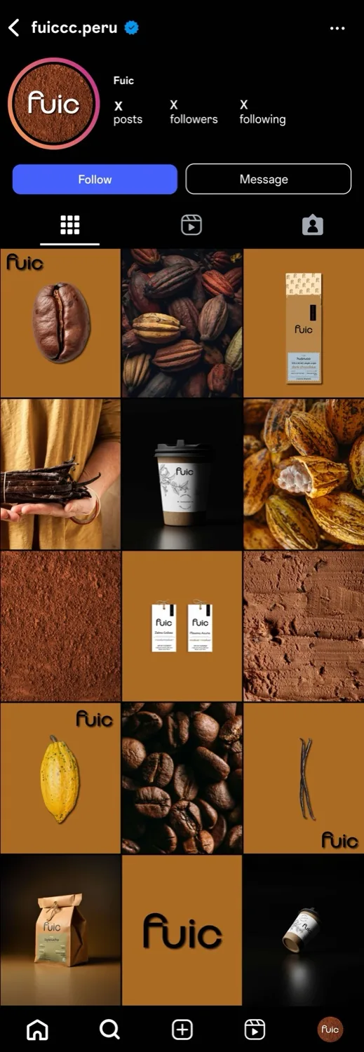 Fuic Instagram grid · Alkeme Design